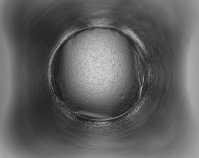 X0000097891435200803211346