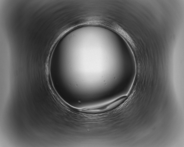 X0000097891436200803211346
