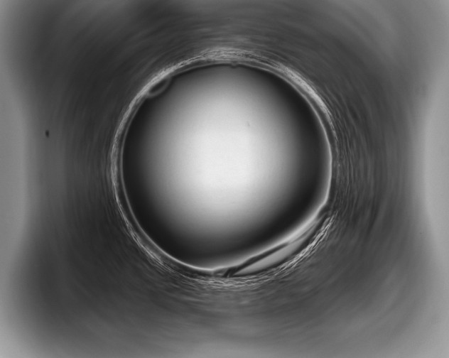 X0000097891437200803211346