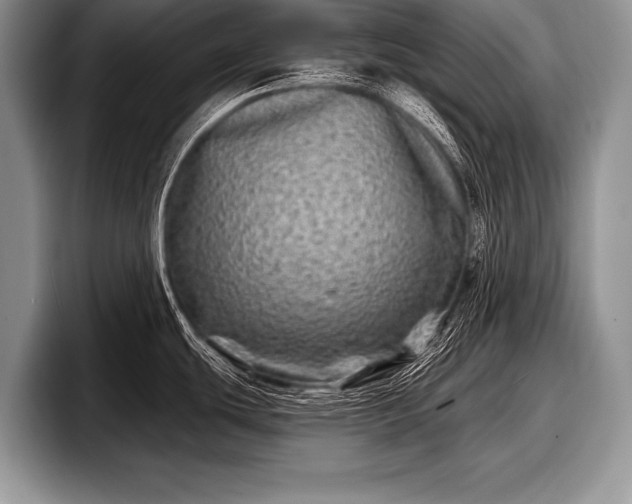 X0000097891439200803211346