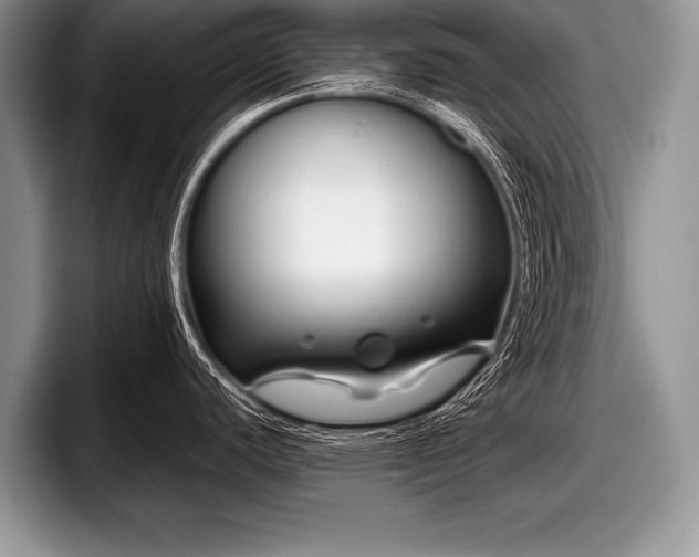 X0000097891440200803211346