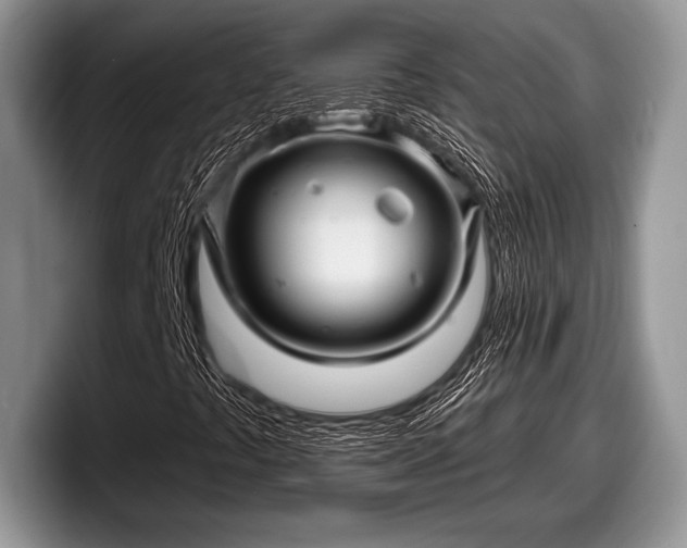 X0000097891441200803211346