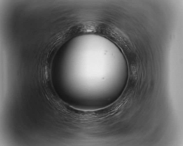 X0000097891442200803211346