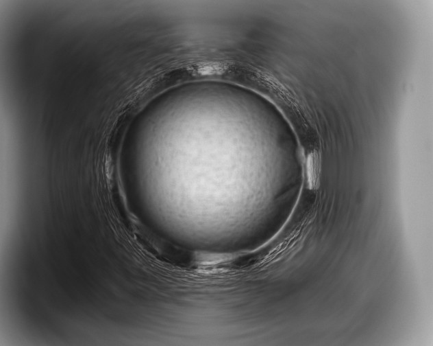 X0000097891443200803211346