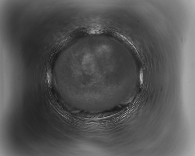 X0000097891444200803211346