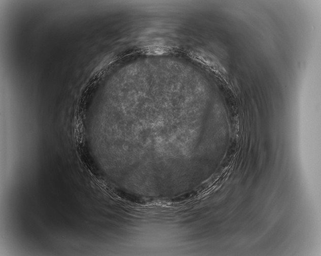 X0000097891446200803211346