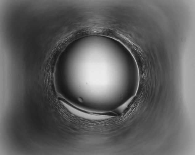 X0000097891447200803211346