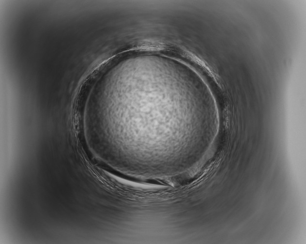 X0000097891448200803211346