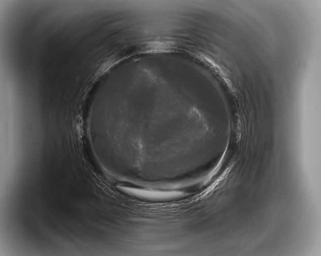 X0000097891449200803211346