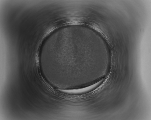 X0000097891450200803211346