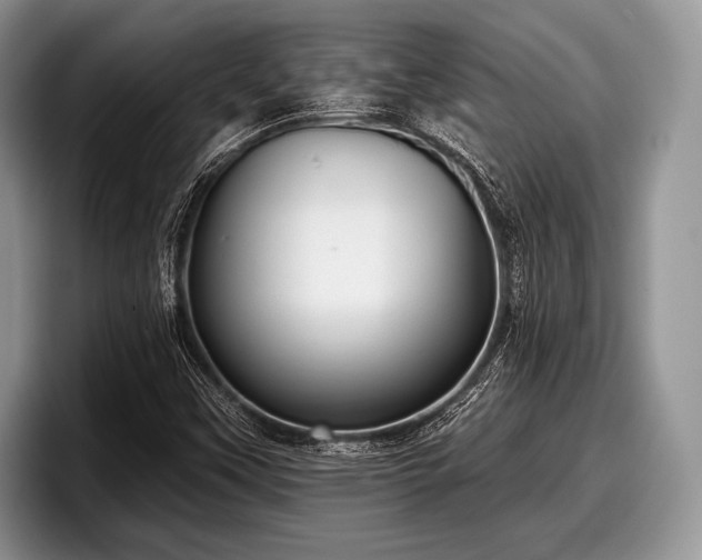 X0000097891451200803211346