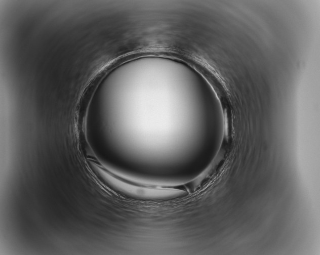 X0000097891452200803211346