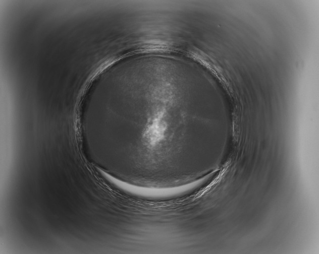 X0000097891453200803211346