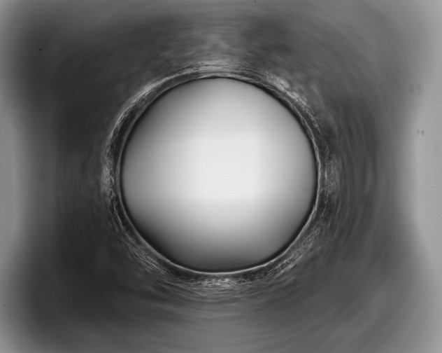 X0000097891454200803211346
