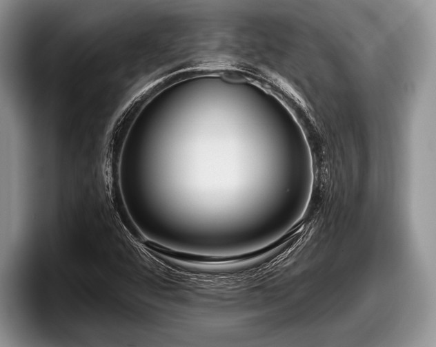 X0000097891456200803211346