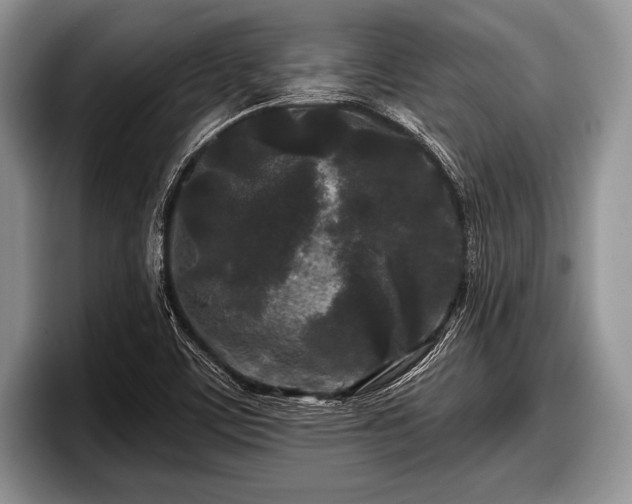 X0000097891459200803211346