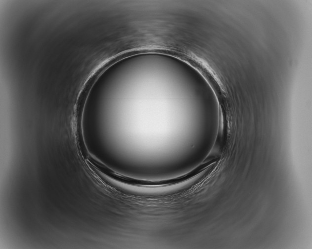 X0000097891460200803211346