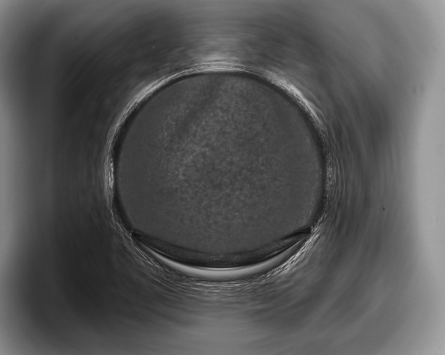 X0000097891461200803211346