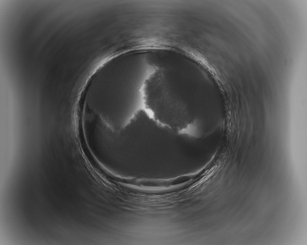 X0000097891463200803211346