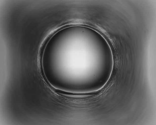 X0000097891464200803211346