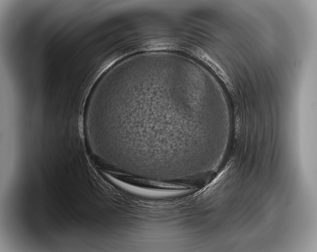 X0000097891465200803211346
