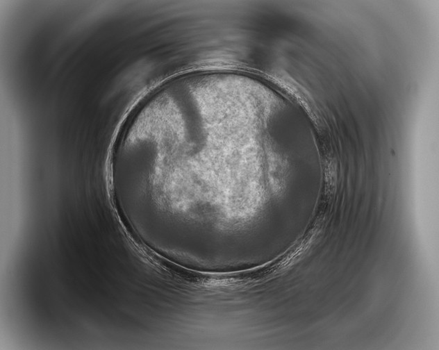 X0000097891466200803211346
