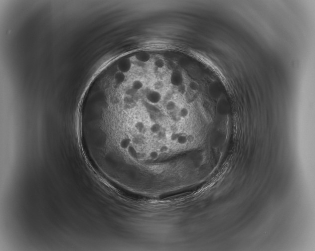 X0000097891467200803211346
