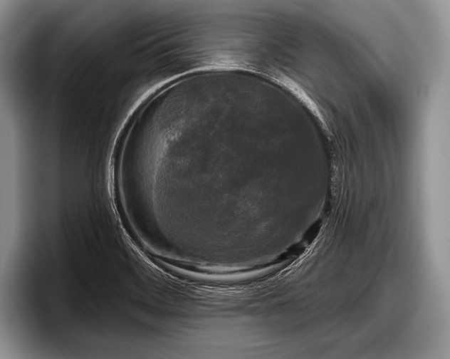 X0000097891468200803211346
