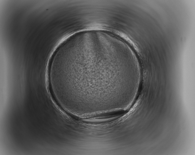 X0000097891469200803211345
