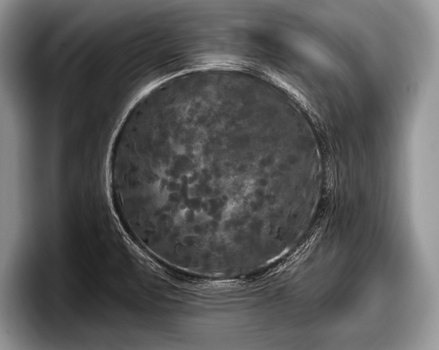 X0000097891471200803211345