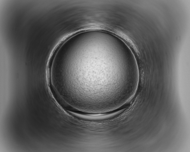 X0000097891472200803211345