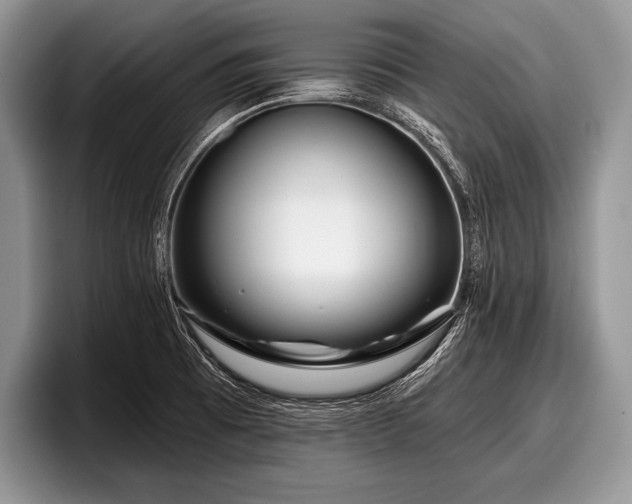 X0000097891473200803211345