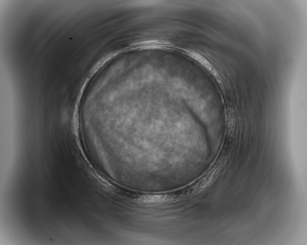 X0000097891474200803211345