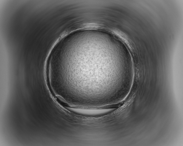 X0000097891475200803211345