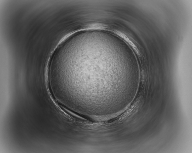 X0000097891477200803211345