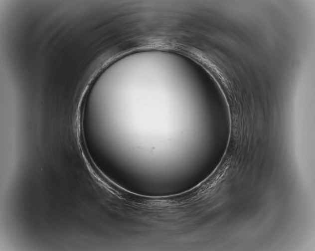 X0000097891479200803211345