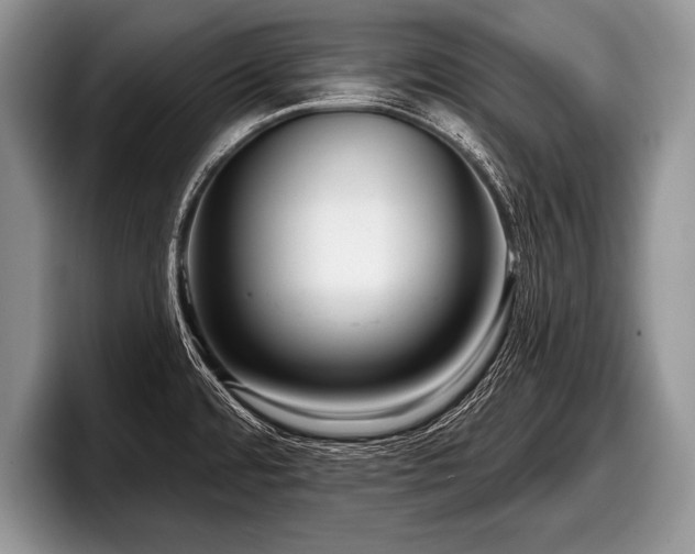 X0000097891480200803211345