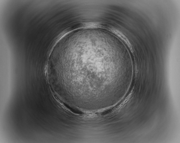 X0000097891481200803211345