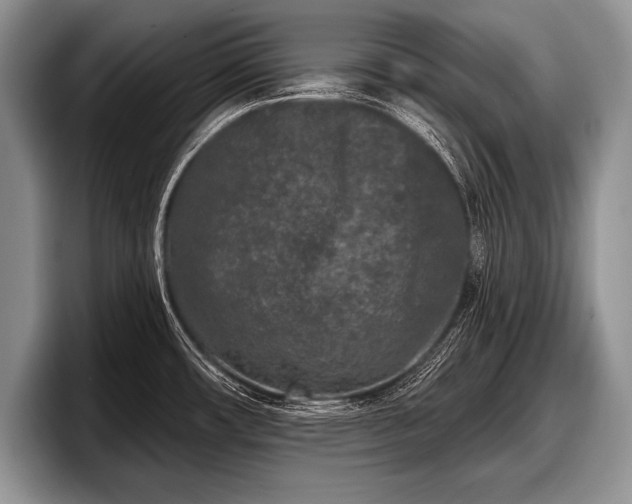 X0000097891482200803211345