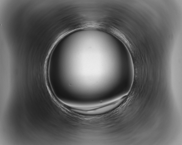 X0000097891483200803211345