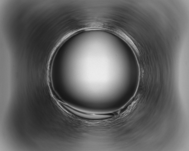 X0000097891485200803211345