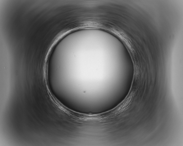 X0000097891486200803211345