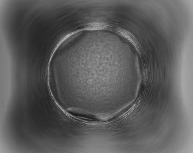 X0000097891487200803211345