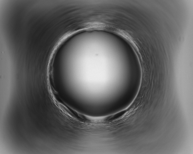 X0000097891488200803211345