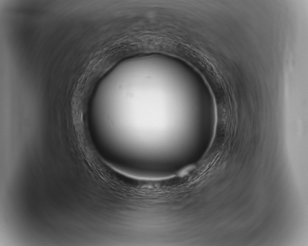 X0000097891489200803211345