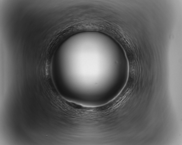 X0000097891490200803211345