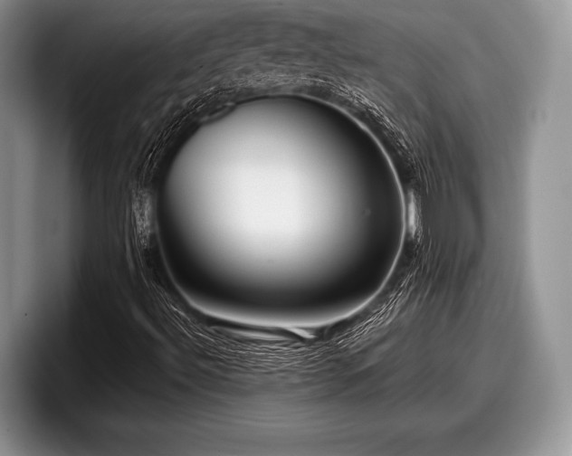 X0000097891492200803211345