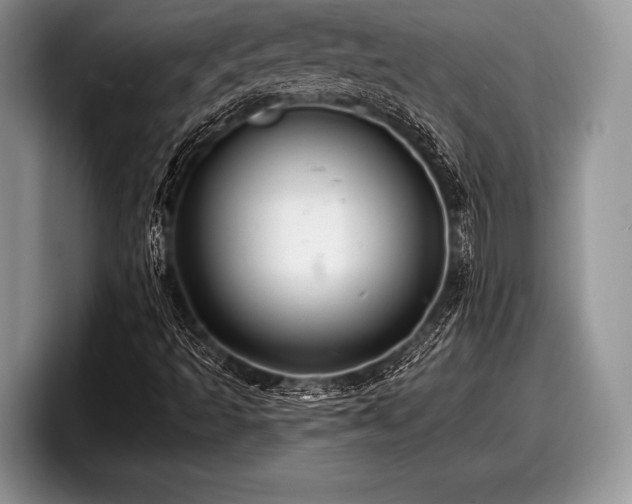 X0000097891493200803211345