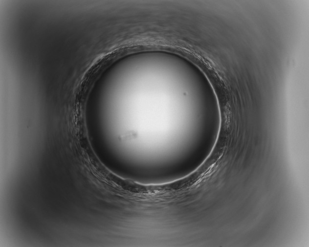 X0000097891494200803211345