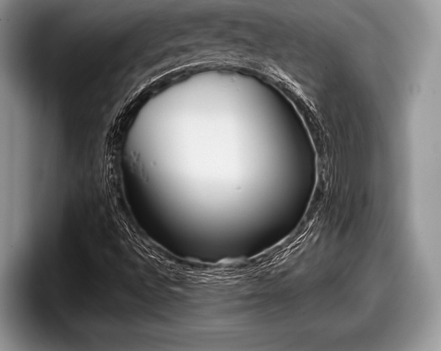 X0000097891496200803211345